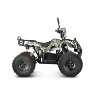 Электроквадроцикл Voltrix Kalmar 60V1000W Лесная чаща